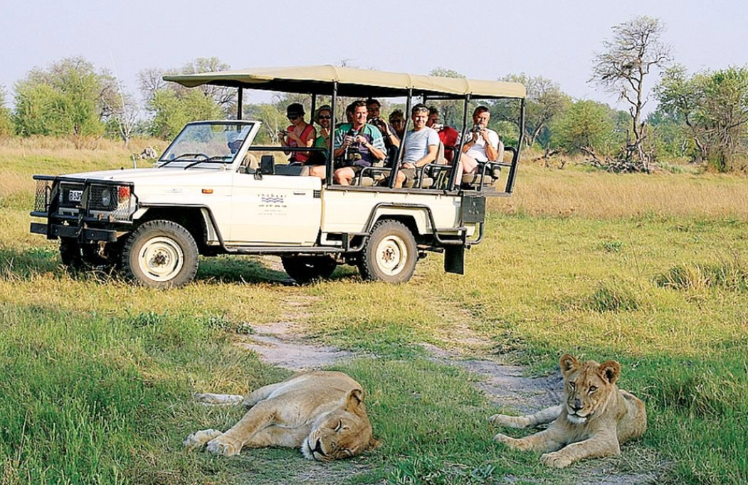Safari Vendors