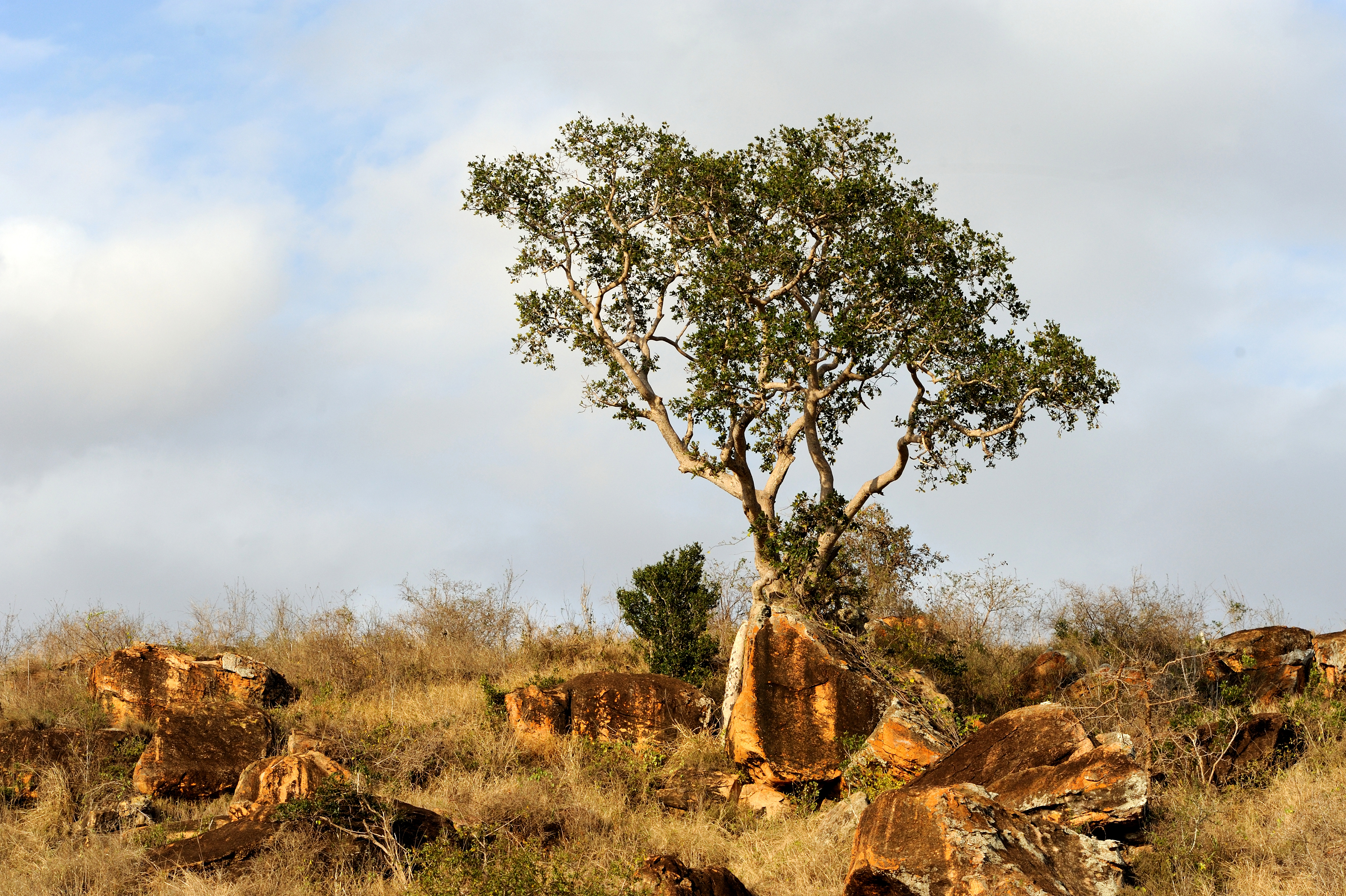 Ethiopia scenery