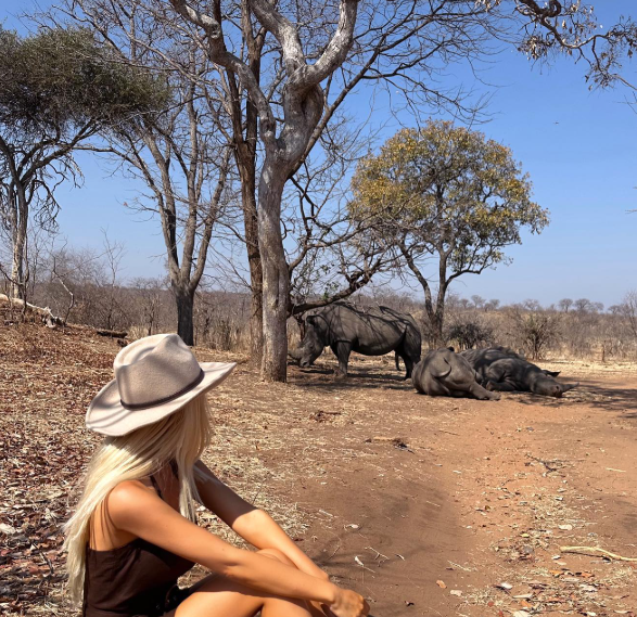 Safari Vendors