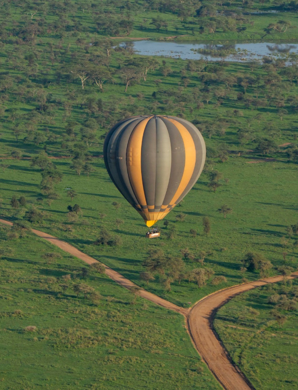 Safari Vendors