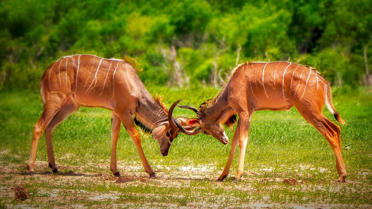 Zimbabwe scenery