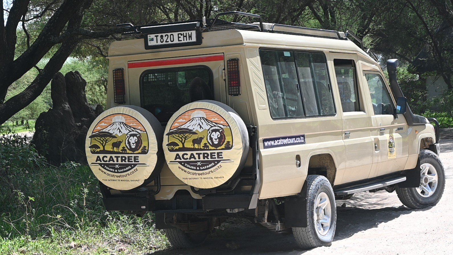 Acatree Tours And Safaris - Safari Tour Operator Cover Image