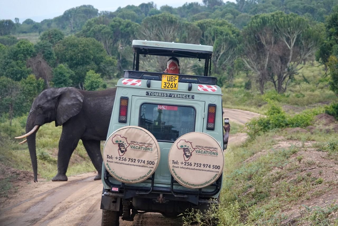 Africa Adventure Vacations Cover Image