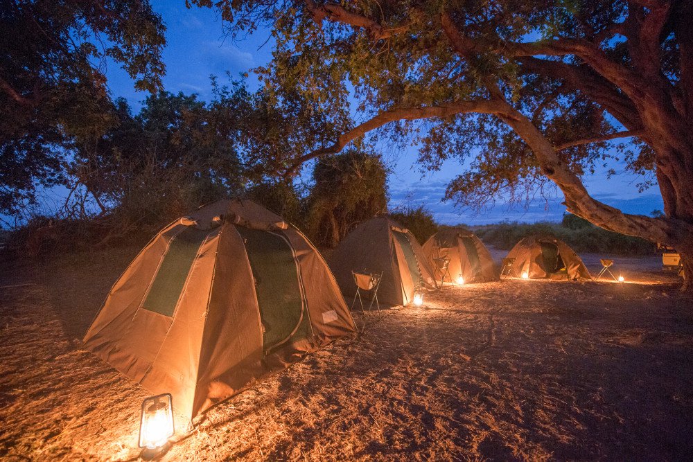 Chobe Jungle Safaris  Cover Image