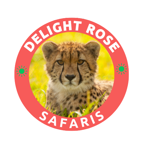 Delight Rose Safaris LTD Logo