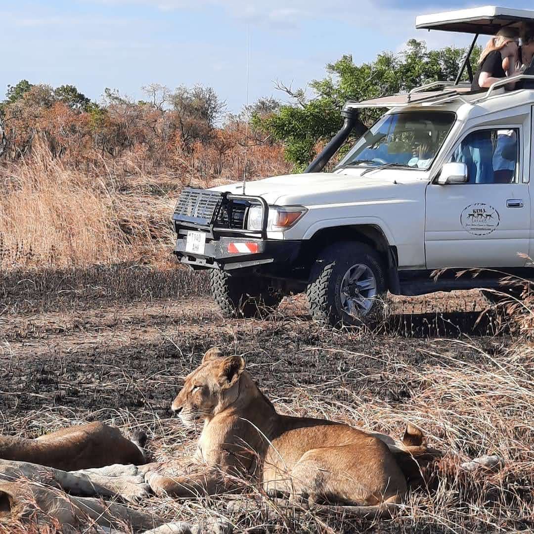 Kima Safaris LTD Cover Image