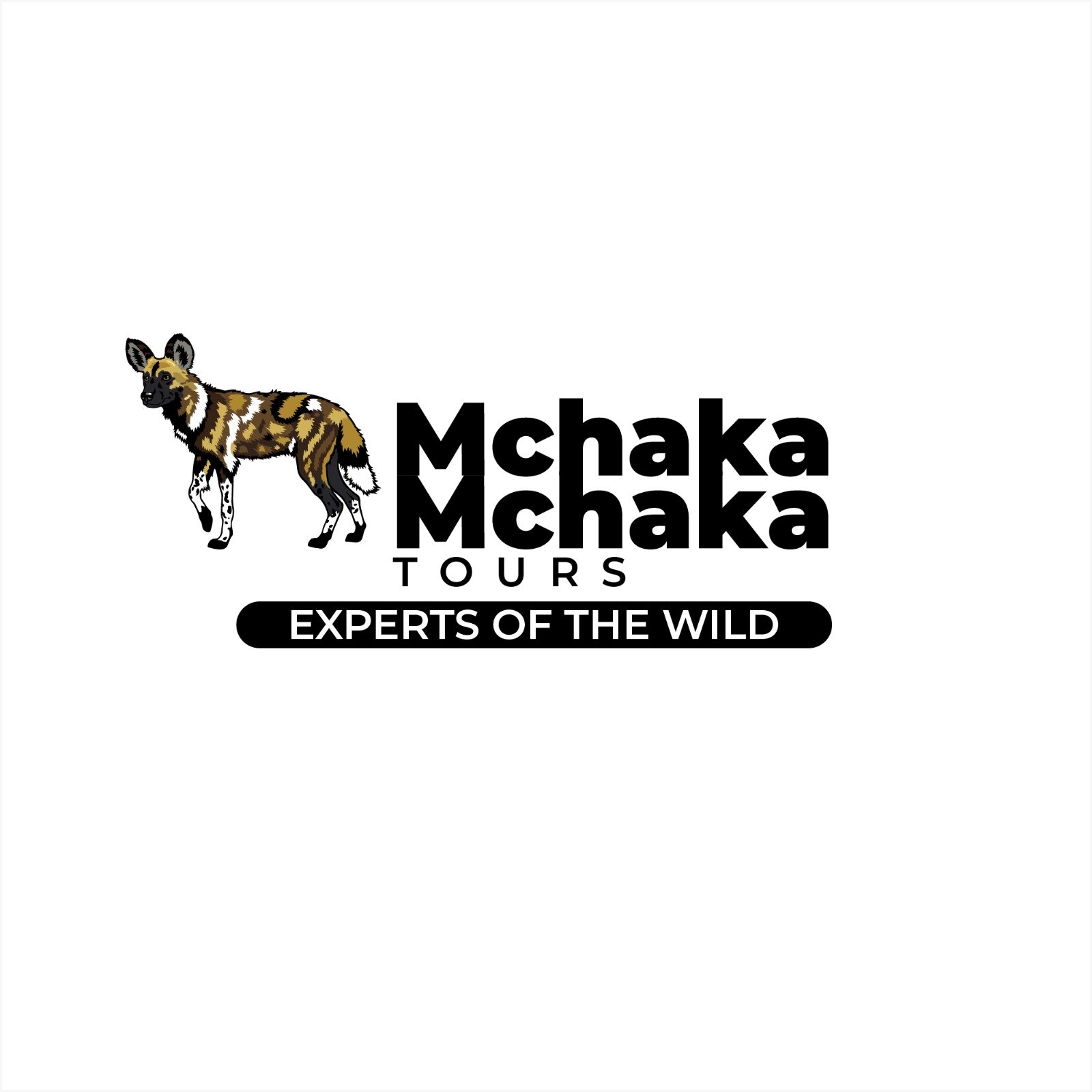 Mchaka Mchaka Tours Logo