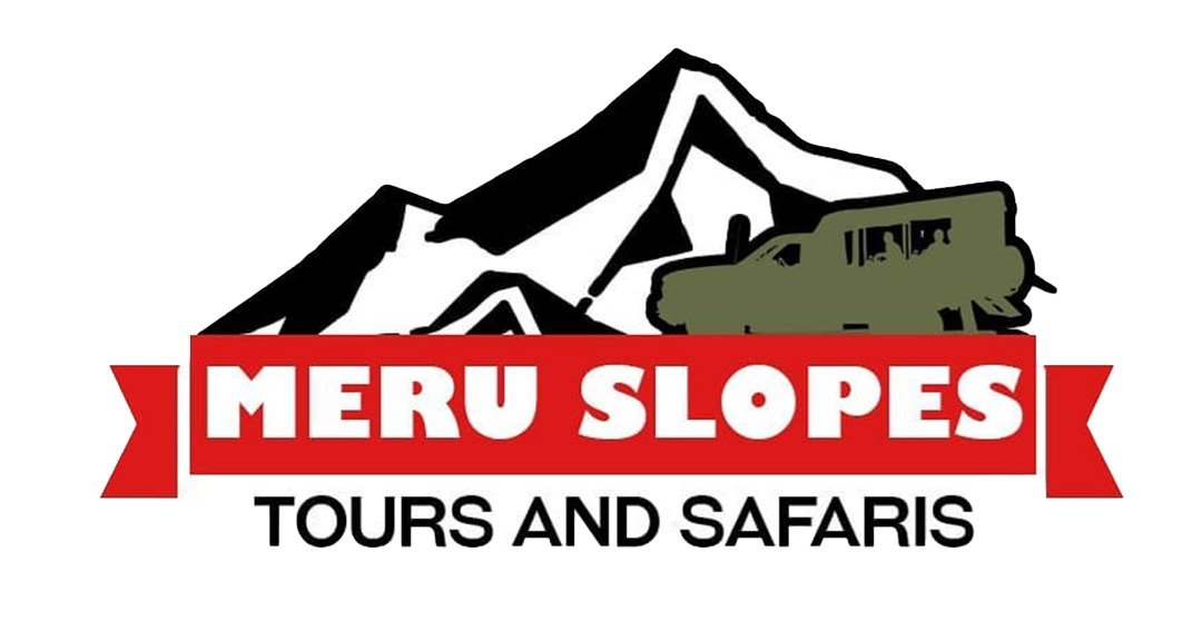 Meru Slopes Tours and Safaris Logo