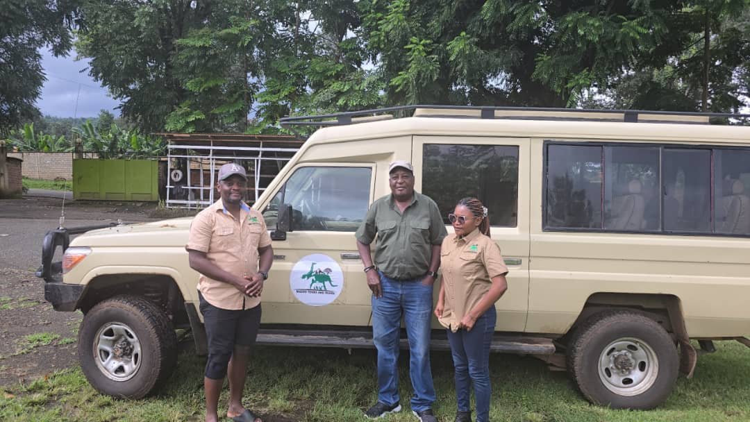 Naleyo Tours and Travels Cover Image