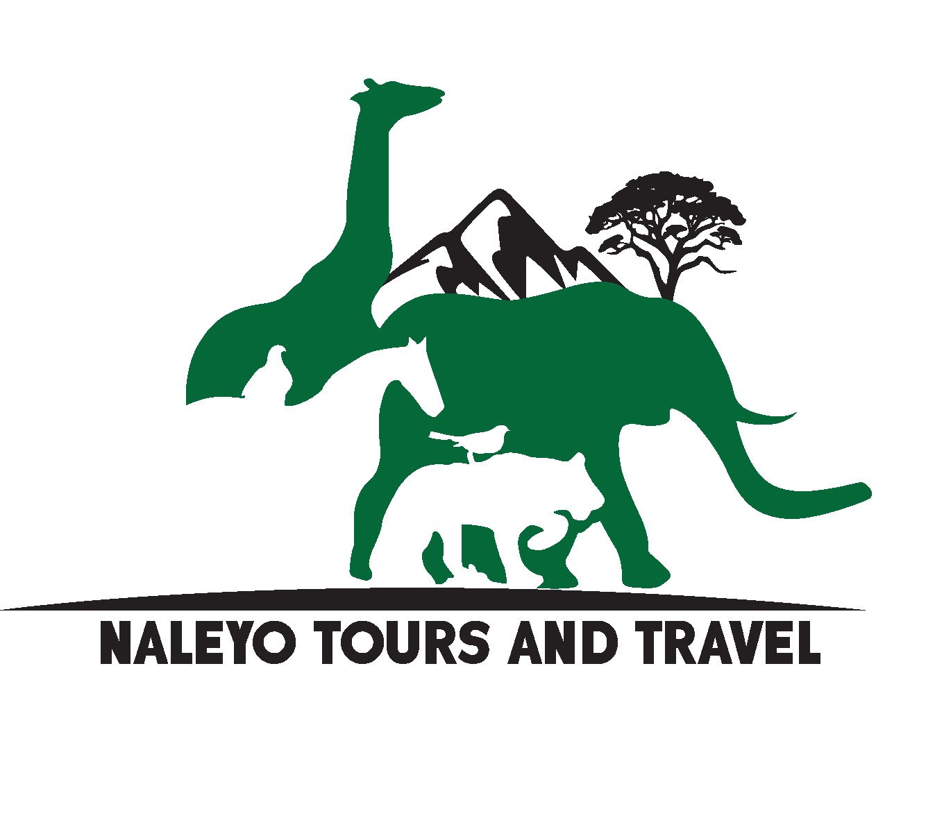 Naleyo Tours and Travels Logo