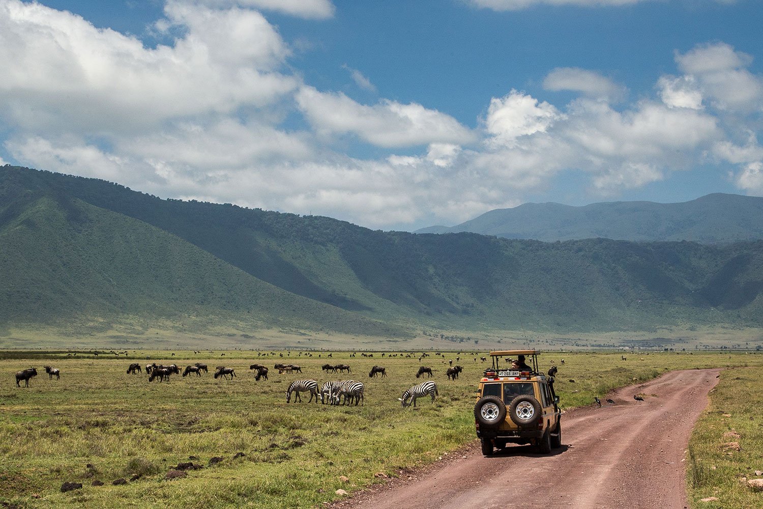 WORLD BLOSSOM SAFARIS Uganda Cover Image