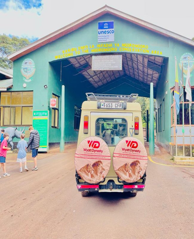 Wyatt Dynasty Cover Image