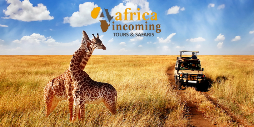Africa Incoming cover image