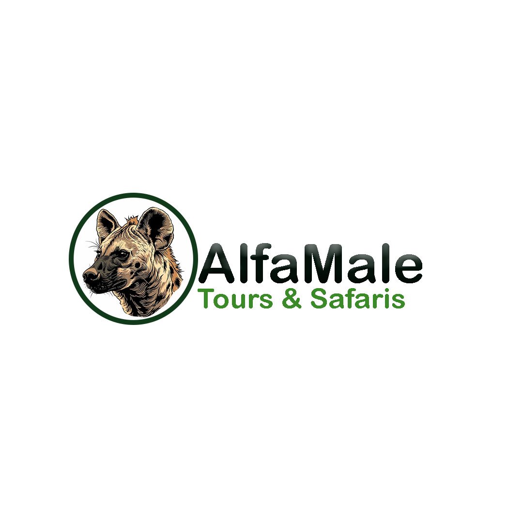 Alfamale Tours & Safaris logo