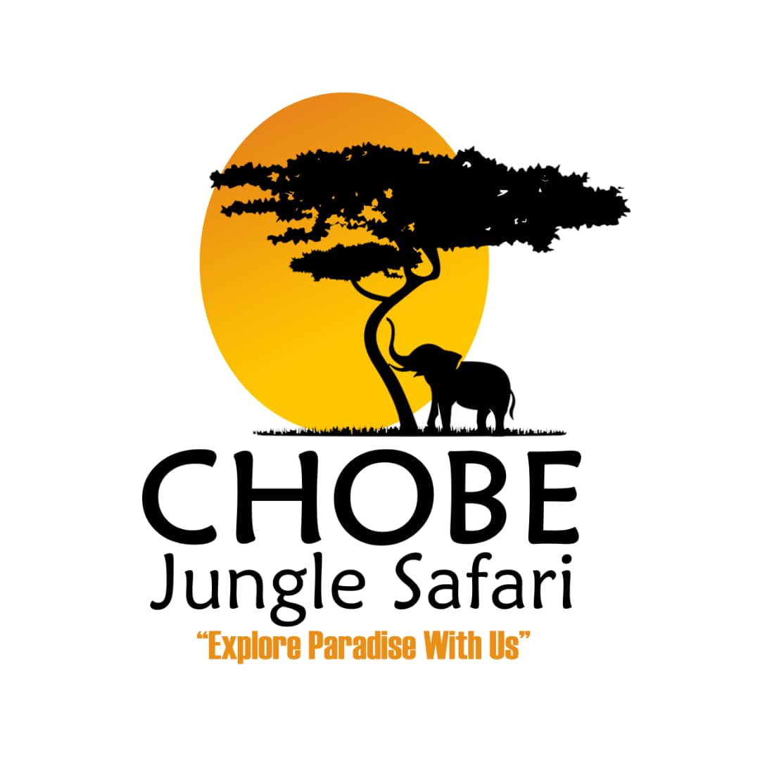 Chobe Jungle Safaris logo