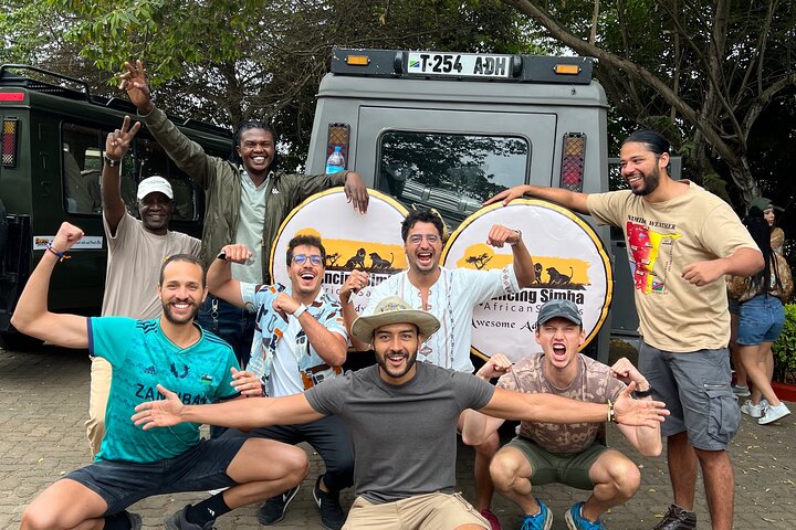 Dancing Simba Safaris cover image