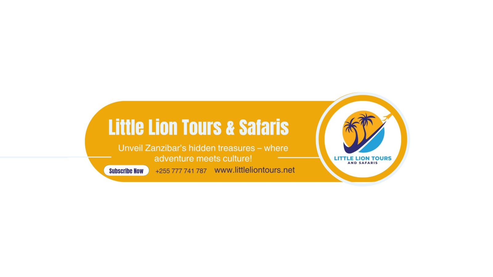 Little Lion Tours & Safaris cover image