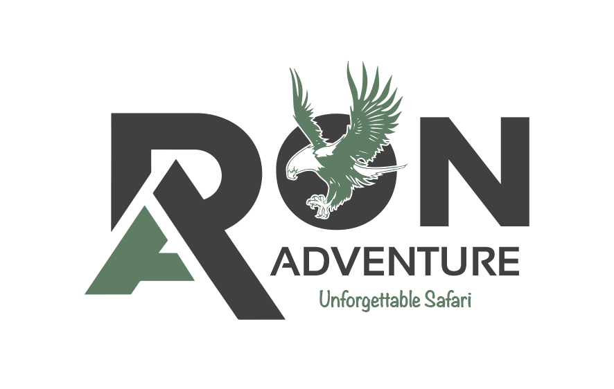Ron Adventure logo