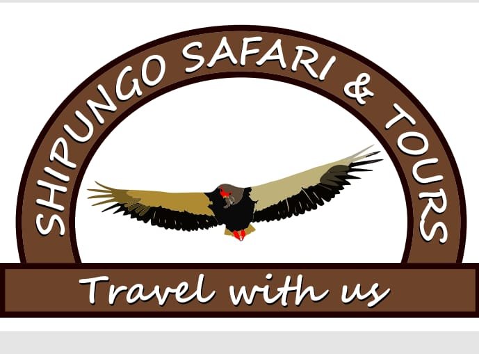 Shipungo Safari & Tours logo