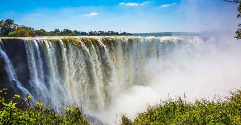Adorable Travel And Tours cover image