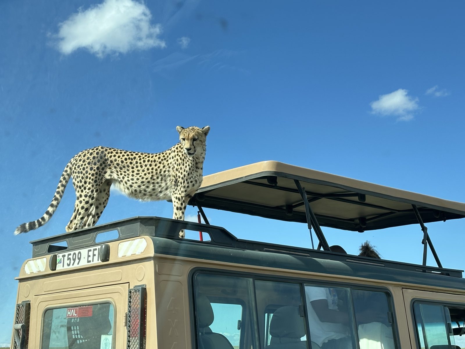 Africa Prince Adventures cover image