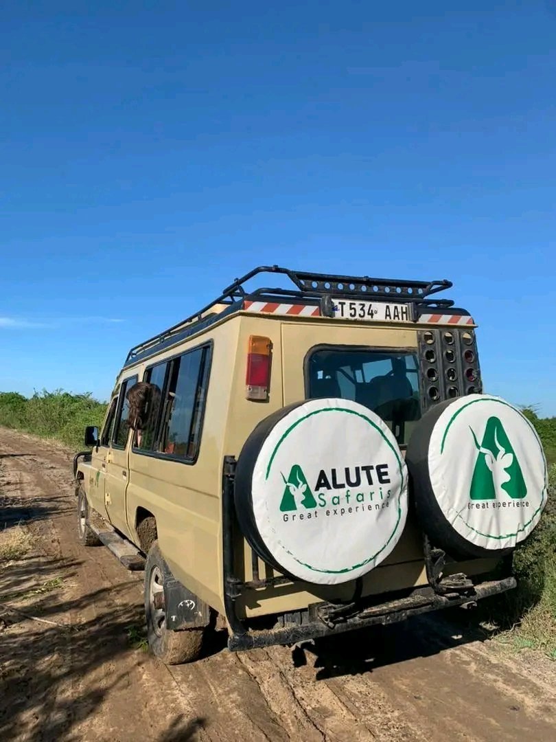 Alute Safaris cover image