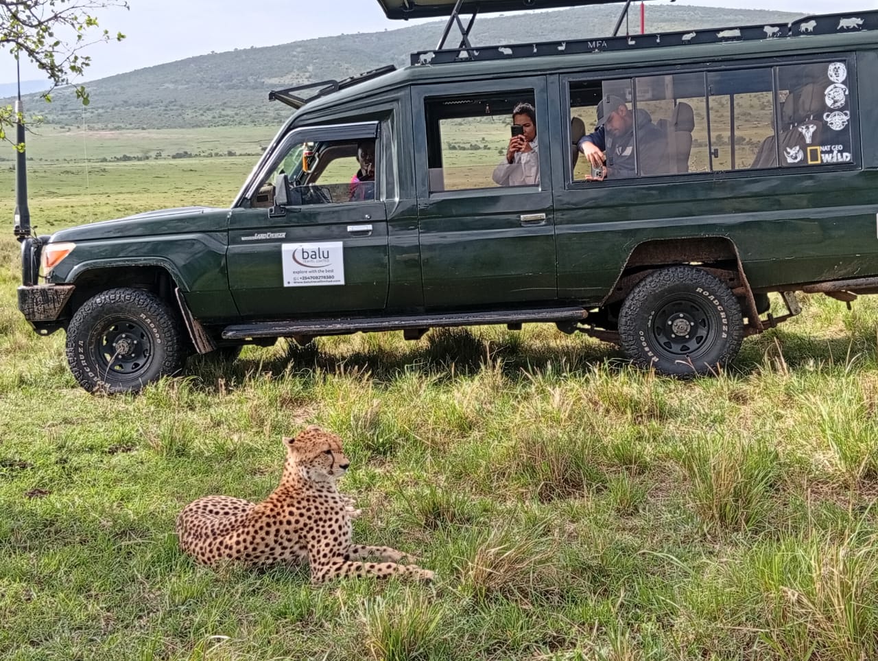 Balu Travel LTD cover image