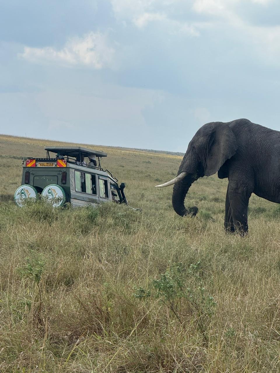 Blends of Africa Adventures cover image
