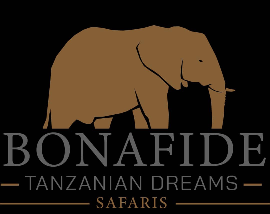 Bona Fide Tanzanian Dreams logo