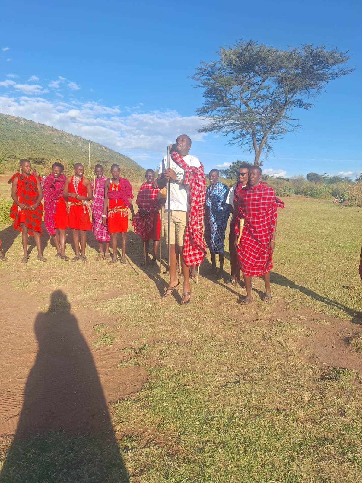 Bonafide Safaris LTD cover image