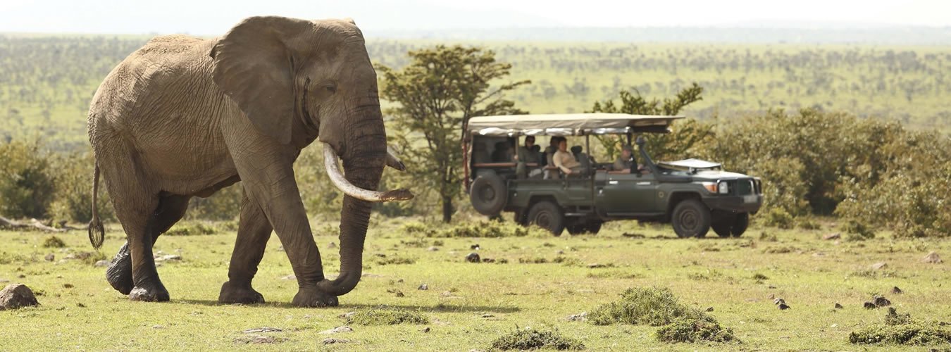 Eseki Luxury Travel cover image