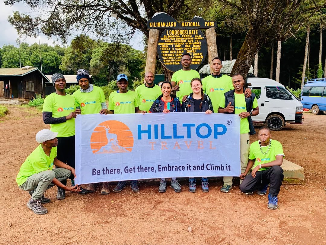 Hilltop Travel cover image