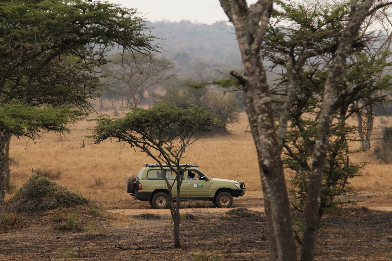 Kaju Community and Nature Tours Uganda Limited cover image