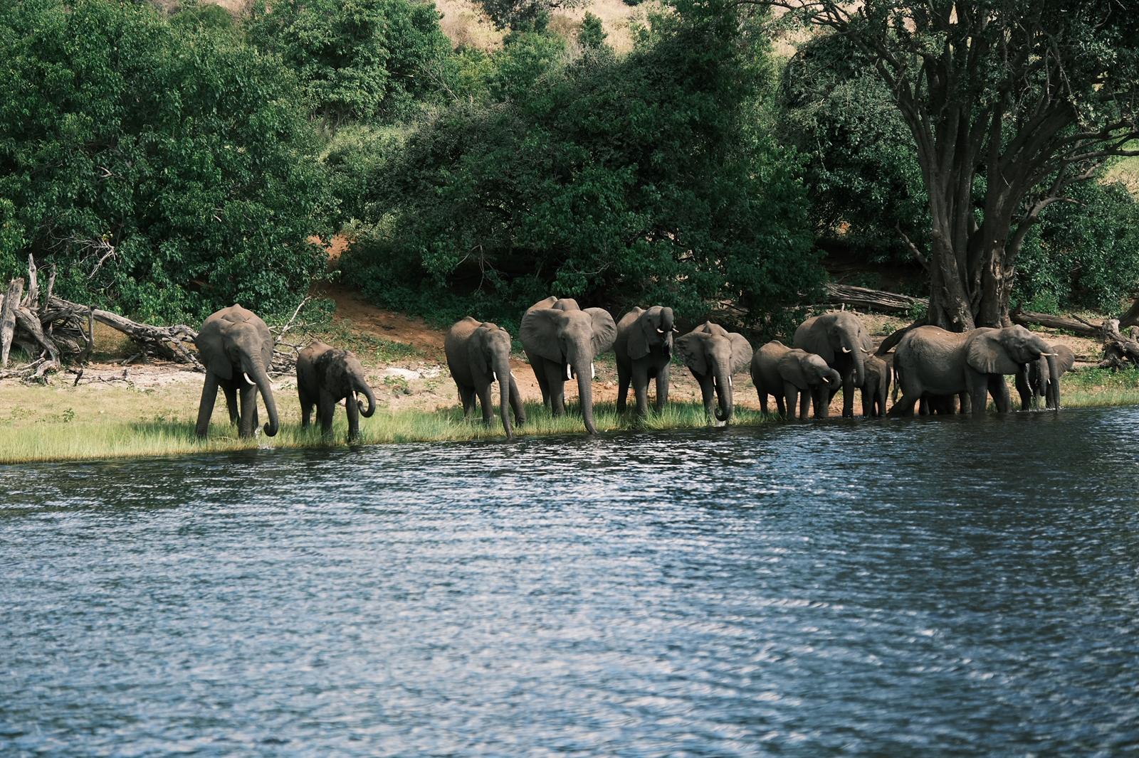 Kalwizi Travel Agency cover image