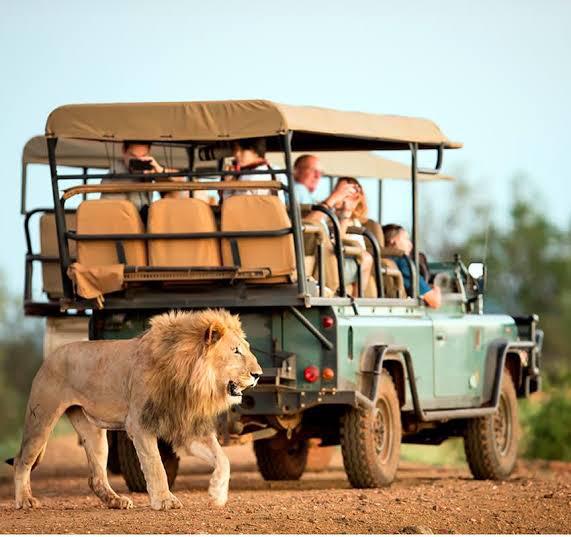 Kenya Classic Tour Travel cover image