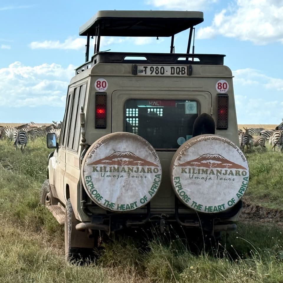 Kilimanjaro Umoja Tours cover image