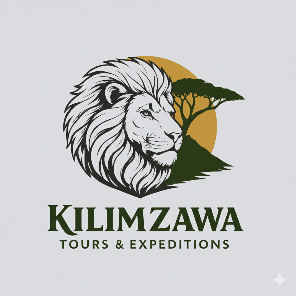 KiliMzawa Tours & Expeditions logo