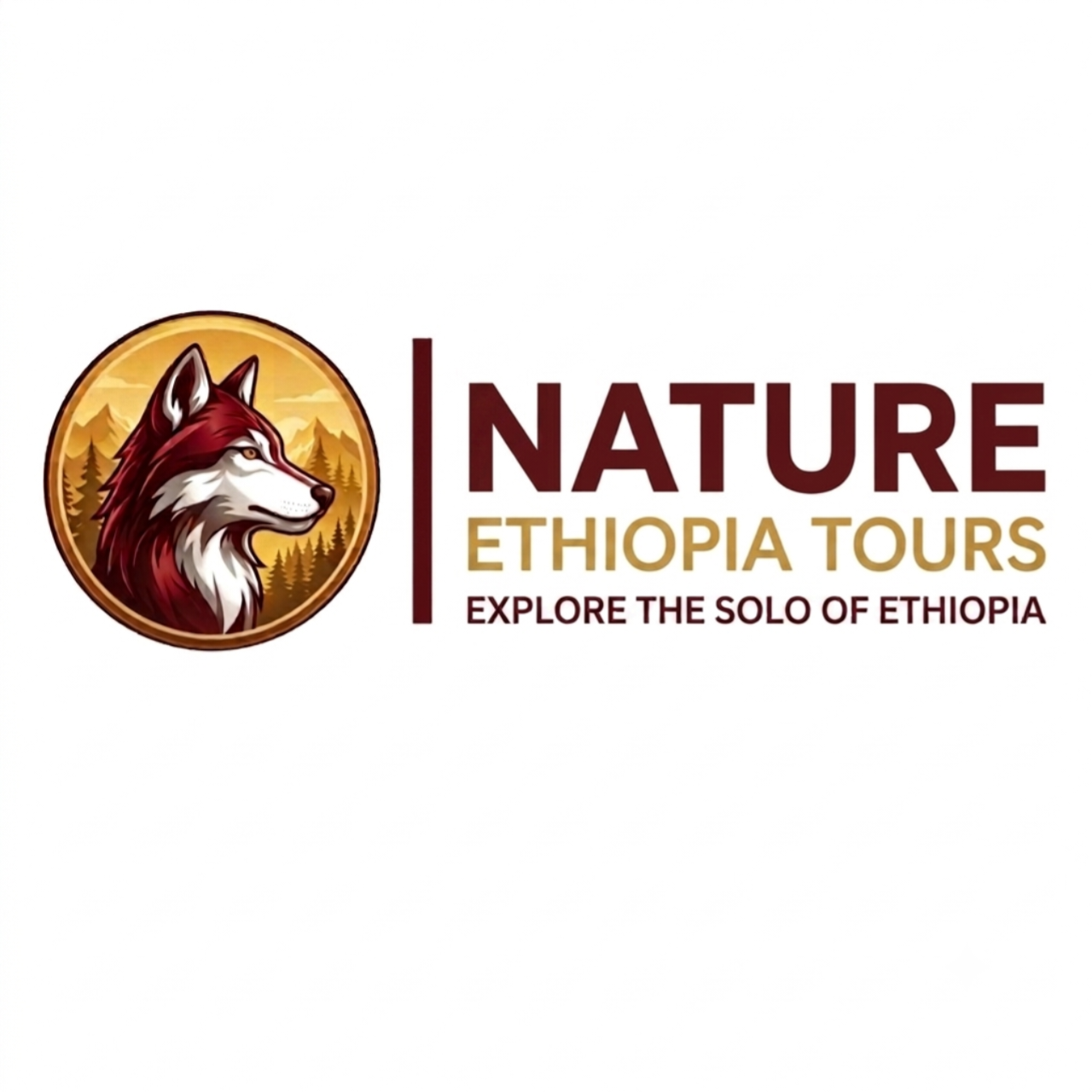Nature Ethiopia Tours logo