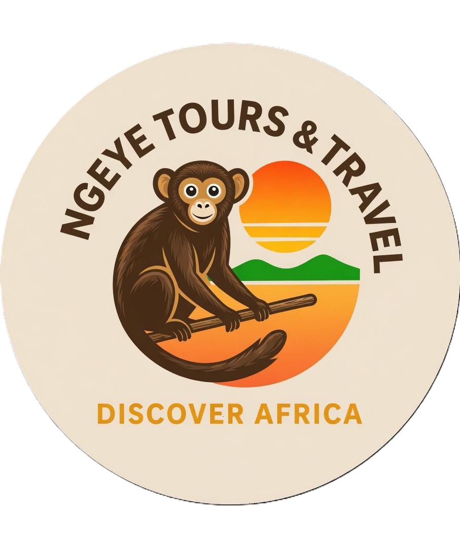 Ngeye Tours and Travel logo