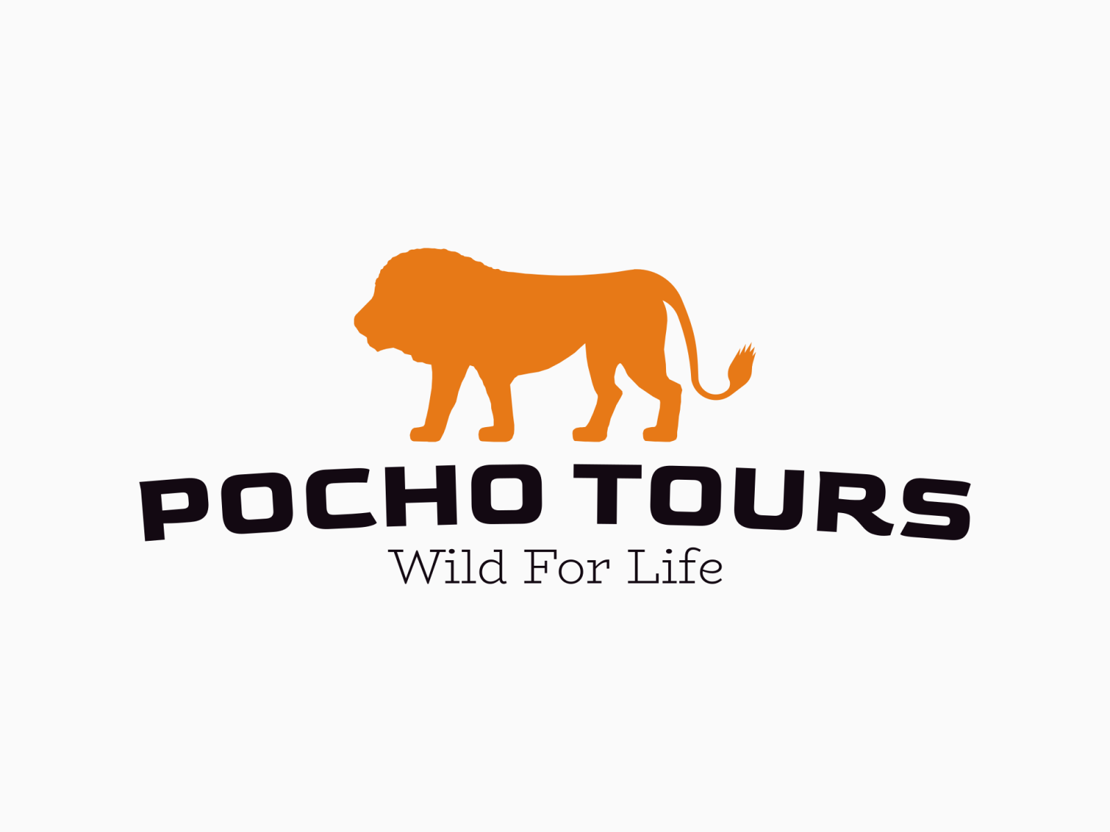 Pocho Tours logo