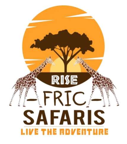 Rise Africa Safaris logo