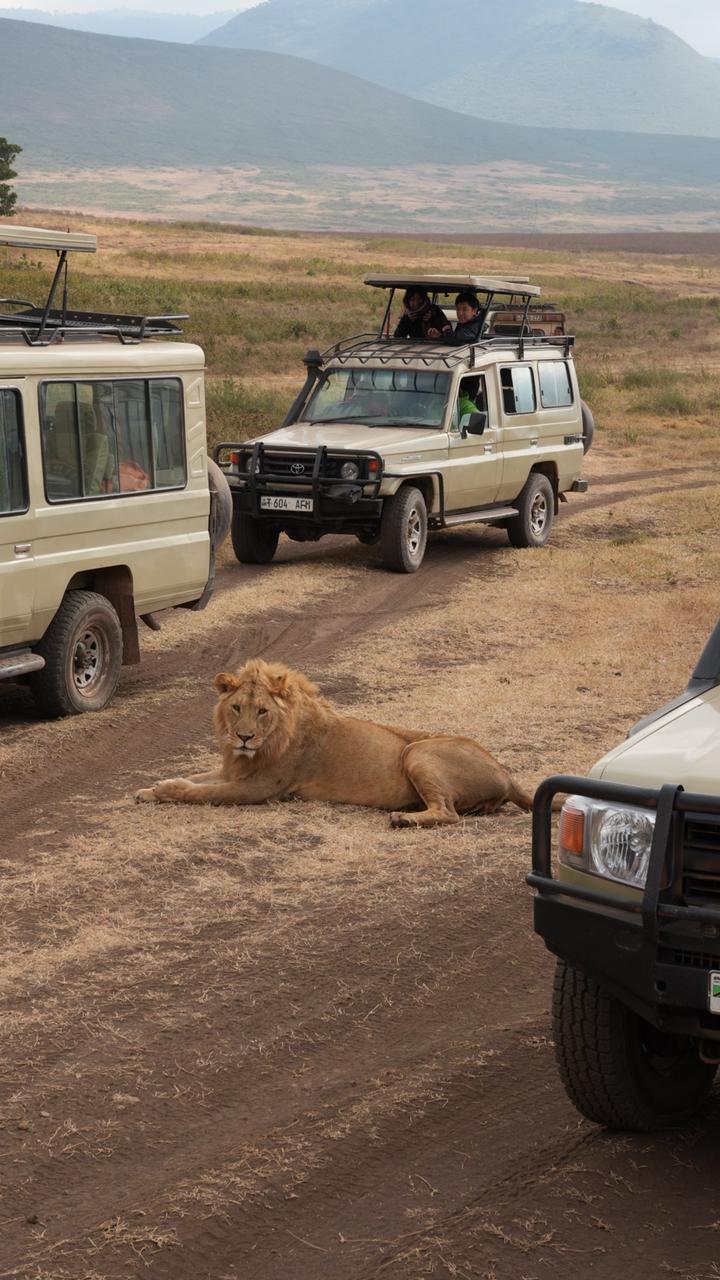 Serengeti Unique logo