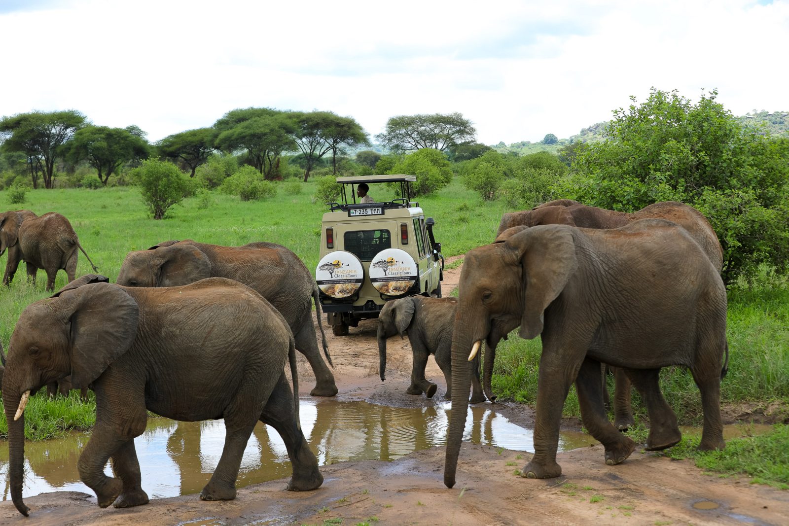 Tanzania Classic Tours cover image