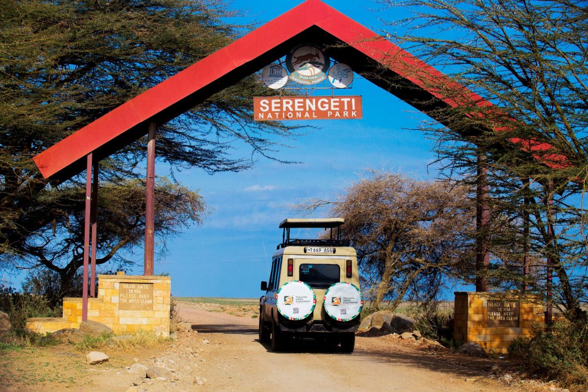 Tanzania Safari Experience cover image