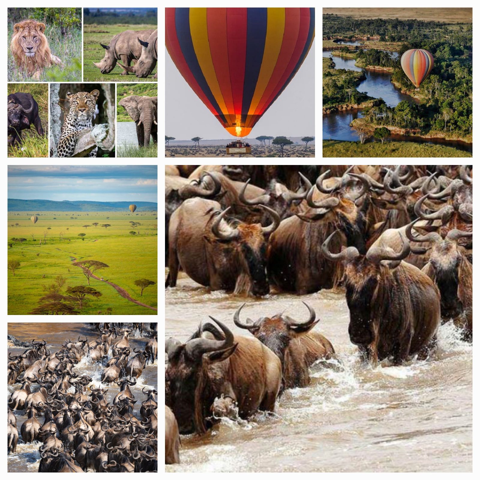 Tanzania Special One Trekking & Safaris cover image