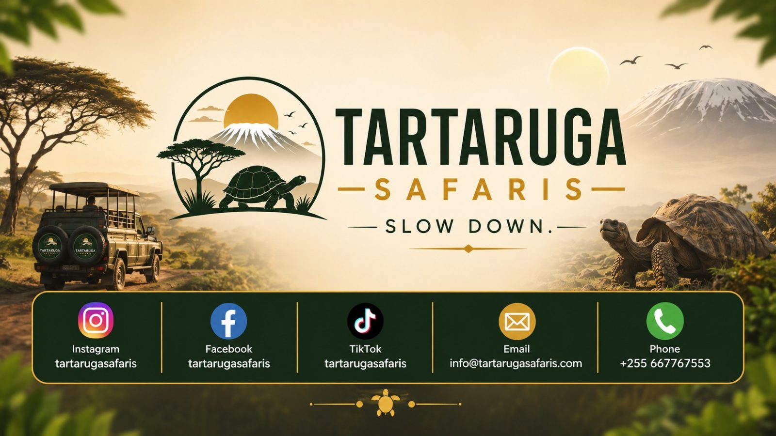 Tartaruga Safaris cover image