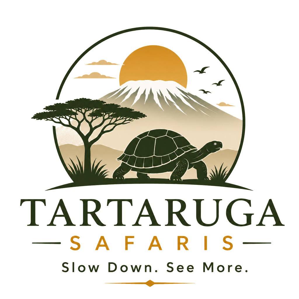 Tartaruga Safaris logo