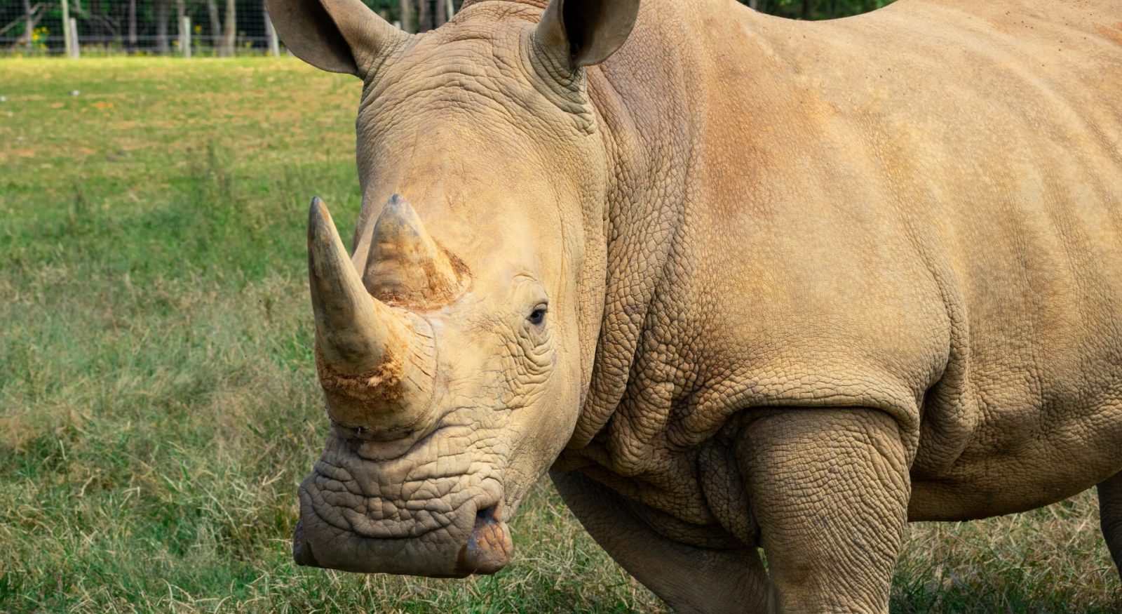 Tiem Tours and Safaris cover image