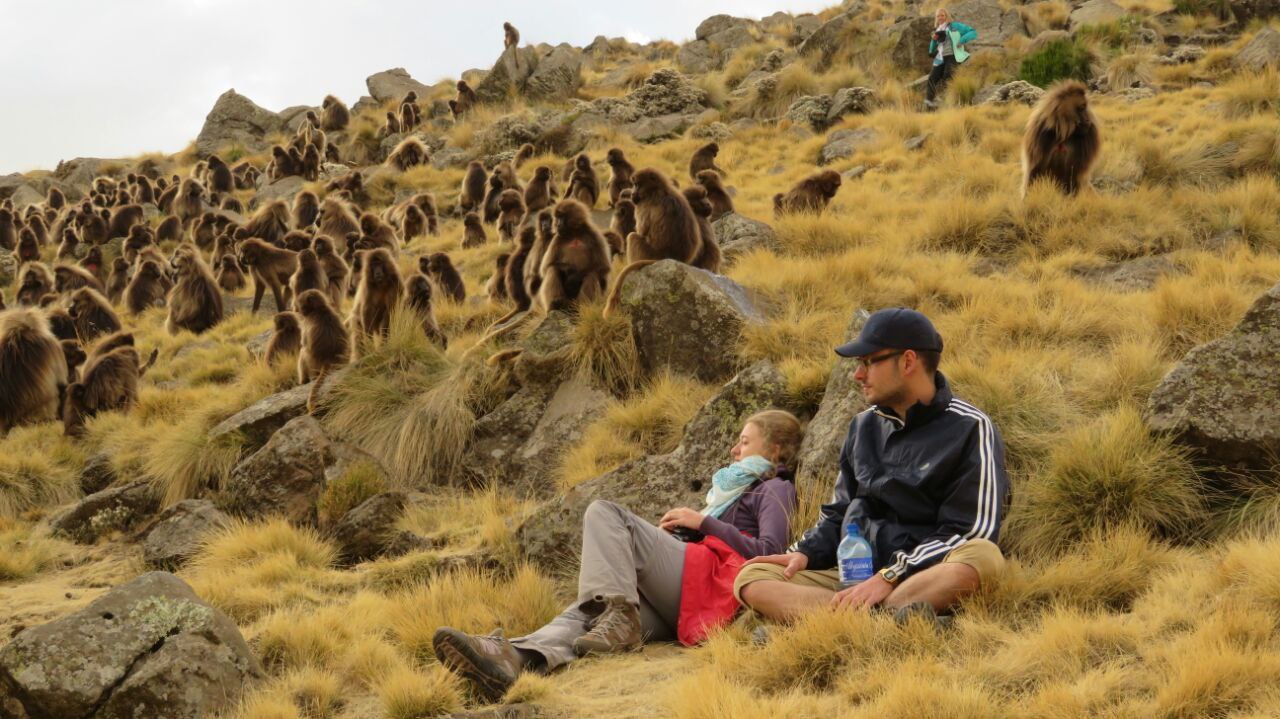 Twsta Tours and Expeditions cover image