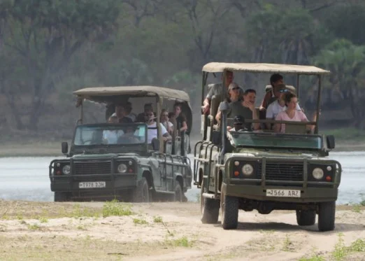 Uwanda Tours And Safaris cover image